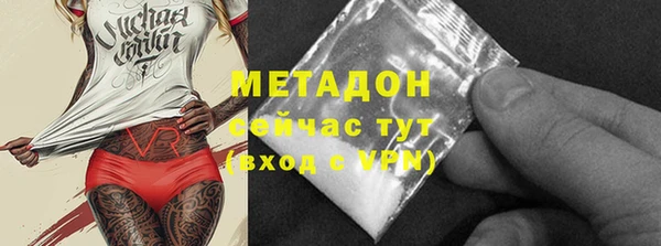шишки Верея