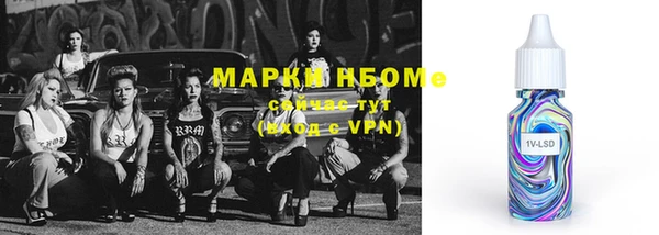 шишки Верея