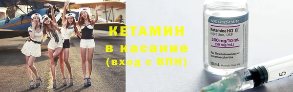 шишки Верея