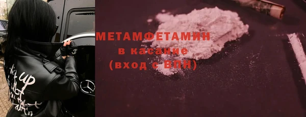 шишки Верея
