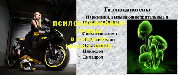 шишки Верея