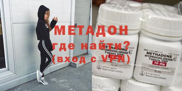 шишки Верея