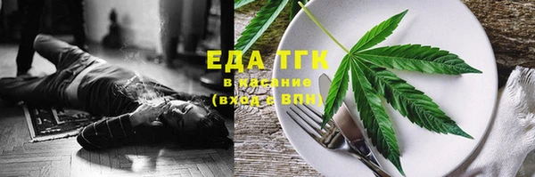 шишки Верея