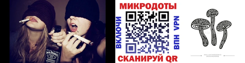 Галлюциногенные грибы Psilocybine cubensis Купить закладки Новомичуринск